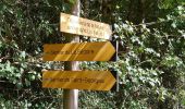 Trail Walking Rochecorbon - Rochecorbon - 8km 110m 1h40 - 2018 08 26 - Photo 2