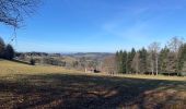 Tour Wandern Girmont-Val-d'Ajol - Les étangs de Girmont et le prieuré d’Herival - Photo 14