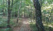 Trail Walking Liège - tour de Streupas par les petits chemins - Photo 8