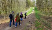 Trail On foot Unknown - Walbrecken Rundweg A4 - Photo 7
