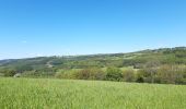 Tocht Stappen Stoumont - moulin du ruy . ruy . andrimont . cour . borgoumont . moulin du ruy - Photo 15