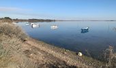 Randonnée Marche Villeneuve-lès-Maguelone - Les salines de Villeneuve - Photo 1