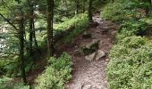 Trail Walking La Bresse - boucle la Bresse - lac des corbeaux - rocher du lac - Ã©tang de sechemer - la Bresse  - Photo 13