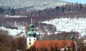 Tocht Te voet Niedamirów - Miszkowice - Horní Albeřice (CZ/PL) - Photo 8