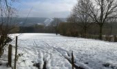 Tour Wandern Stablo - Stavelot 20,6 km - Photo 8