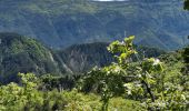 Randonnée Marche Puget-Rostang - Puget Rostang à Auvare - Photo 3