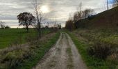 Tour Wandern Lontzen - Lontzen 19,5 km - Photo 19