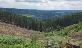 Trail Walking Malmedy - Malmedy - Bernister - Burnenville - Photo 18