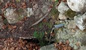 Tour Wandern Château-Bernard - tête des chaudières et rocher de la Balme  - Photo 4