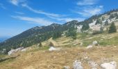 Excursión Senderismo Lans-en-Vercors - le moucherotte  - Photo 5