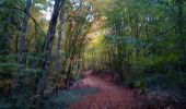Trail Walking Marchaux-Chaudefontaine - Chaudefontaine - Photo 1
