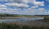 Tocht Stappen Berville-sur-Mer - berville sur mer - Photo 6