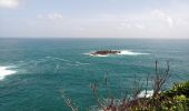 Trail Walking La Trinité - Presqu'île de la Caravelle 🌡️ - Photo 16