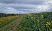 Tocht Stappen Mettet - De Stave à Biesmerée - Photo 9