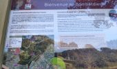 Trail Walking Fréjus - z tdm 25-01-19 - Photo 4