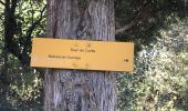 Excursión Senderismo Prades - Canal de Boera - Abbaye St Michel-de-Cuxa - Taurinya - Tour de Corts en boucle - Photo 6