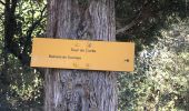 Trail Walking Prades - Canal de Boera - Abbaye St Michel-de-Cuxa - Taurinya - Tour de Corts en boucle - Photo 6