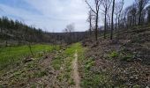 Tour Wandern Viroinval - Balade à Le Mesnil - Viroinval - Photo 7