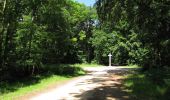 Trail Walking Rethondes - en forêt de Laigue_6_12_2019_Route Forestière des Princesses_Route et Chemin de Briançon - Photo 14