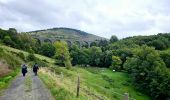 Tour Wandern Le Bouchet-Saint-Nicolas - STEVENSON Le Boucher St Nicolas à Pradelles - Photo 2