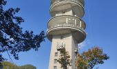 Randonnée Marche Clamart - Meudon châtaignes  - Photo 2