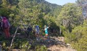 Trail Walking Serriera - Serierra  Ota - Photo 7