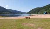 Excursión Senderismo Celles-sur-Plaine - Du lac de la Plaine au lac de Vieux-Pré à Pierre-Percée - Photo 2