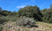 Trail Walking Signes - Plateau d'Agnis en partant de La Marseillaise - Photo 4
