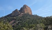 Trail Walking Saint-Raphaël - Pic du cap roux - Photo 10