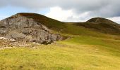 Excursión Senderismo Bouvante - Serre Montué ( petit et grand sommet) - Photo 11