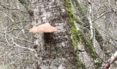 Tocht Stappen Châteaubourg - Forêt Marpiré  - Photo 3