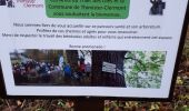 Tour Wandern Thimister-Clermont - Clermont - Balade Noel 2020 - +/- 7 Km - Photo 6