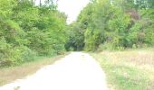 Trail Walking La Chapelle-en-Serval - Rando de 08 kms du 20 septembre  - Photo 4
