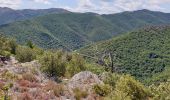 Trail Walking Les Plantiers - les plantiers, abbaye de Fontfouillouse  - Photo 2