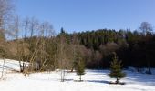 Tour Zu Fuß Nordhalben - Fichtera Weg RT 31 - Photo 2