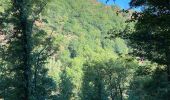 Trail Walking Mazamet - Mazamet passerelle  - Photo 13