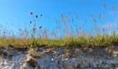 Trail Walking Sangatte - sangatte - cap blanc nez via les terres, retour par les falaise - Photo 13