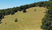 Tour Wandern Thann - Thann - oeil de la sorcière - rocher d'Ostein - camp de Turenne - Molkenrain - chëne Wotan - croix du Rangen - Photo 17