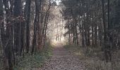 Trail Walking Theux - entre tancremont et banneux - Photo 8