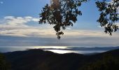 Randonnée Marche Roquebrune-sur-Argens - Col du Bougnon - Peigros - Photo 4