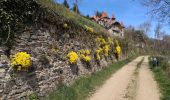 Trail Walking Riverie - De Riverie à Sainte Catherine - Photo 17