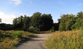 Tour Wandern Haramont - en forêt de Retz_84_la Laie du Petit Bois d'Haramont - Photo 10