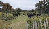 Tocht Stappen Aureille - la tour des Opies - Photo 1