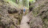 Excursión Senderismo Angomont - Le champ de bataille de la Chapelotte - Photo 19