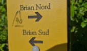 Trail Walking Grane - Grane Mont Brian 8km. - Photo 3