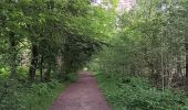 Randonnée Marche Sprimont - dans les bois au nord de Banneux - Photo 16