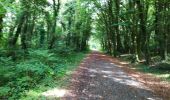 Trail Walking Conamara Municipal District - Ballykine loop  - Photo 1