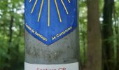 Trail Walking Esneux - tilf . ferme de femelette.  roche aux faucons.  avister. tilf  - Photo 8