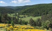 Trail Walking Saint-Flour-de-Mercoire - L’Herm Notre dame des neiges - Photo 9