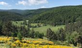 Tour Wandern Saint-Flour-de-Mercoire - L’Herm Notre dame des neiges - Photo 9